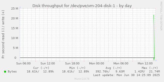 Disk throughput for /dev/pve/vm-204-disk-1